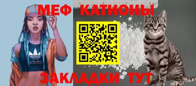 прущие грибы Пыть-Ях