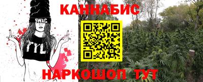 прущие грибы Пыть-Ях